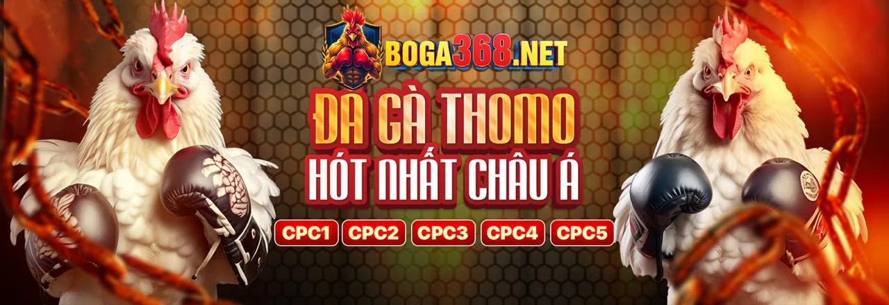 Sân đấu đá gà trực tuyến sôi động tại 197vip