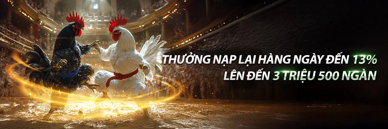 Hình ảnh chính Đăng nhập 197vip