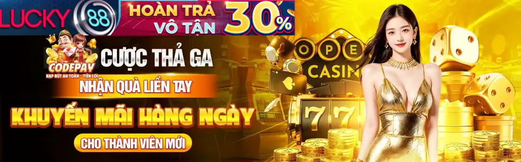 Hình ảnh lá chắn bảo mật và khóa an toàn, thể hiện cam kết bảo mật của 197vip đăng nhập